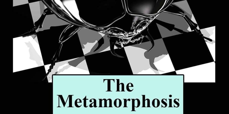 The Metamorphosis by Franz Kafka Book Cover