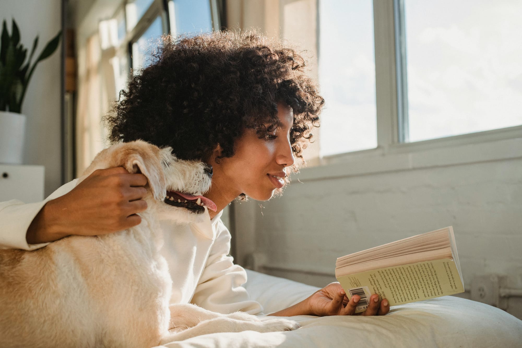 woman petting dog and reading book on bed